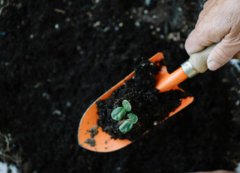 五易生:果树种植全期需肥特点及施肥目的